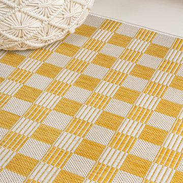 Aimee Traditional Cottage Checkerboard Indoor/Outdoor Area Rug